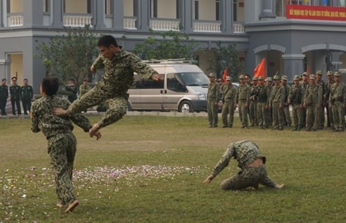 Can canh dac cong biet dong minh dong da sat-Hinh-7